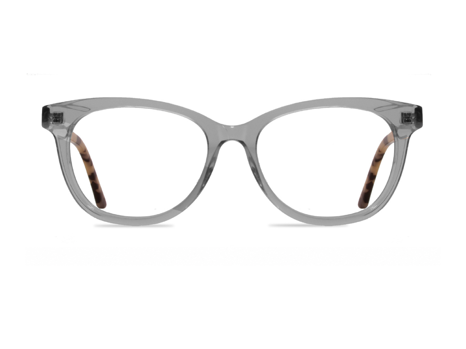 YB207 Gray Tortoise