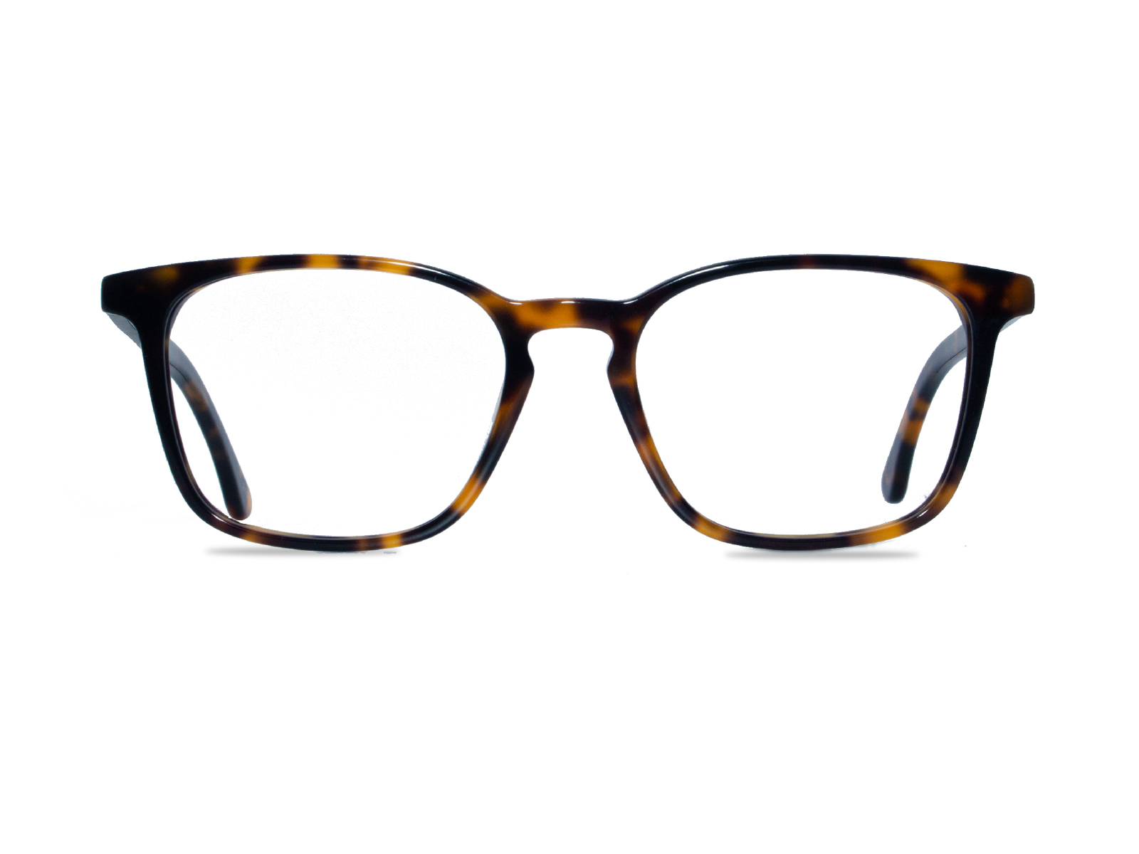 YB219 Tortoise