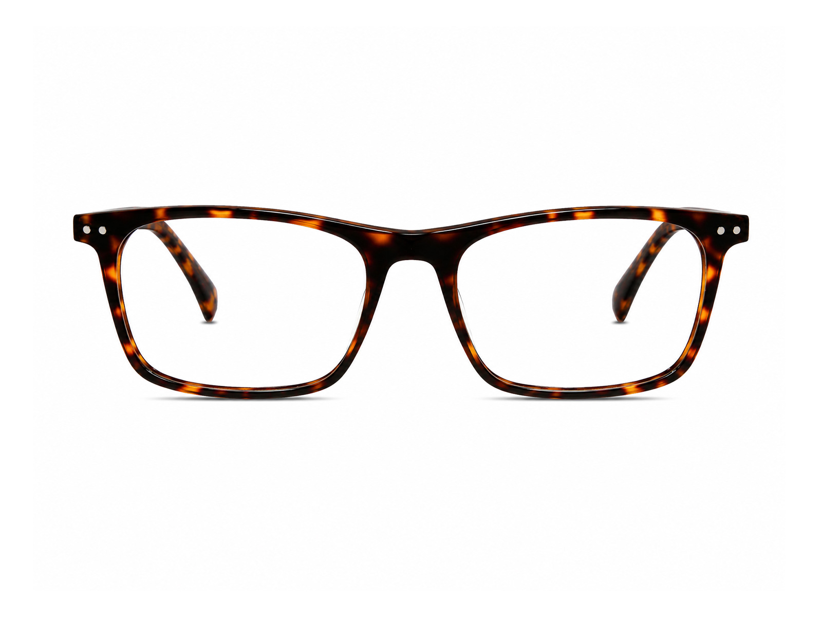 YB362 Tortoise