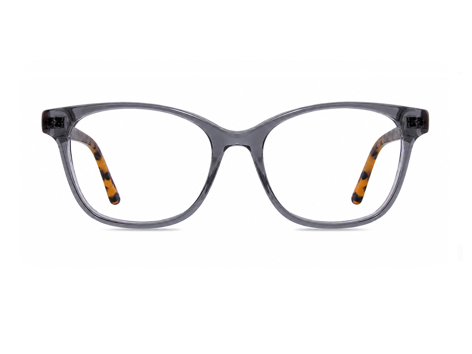 YB405 Gray Tortoise